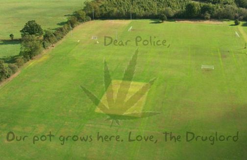 Google earth drugs