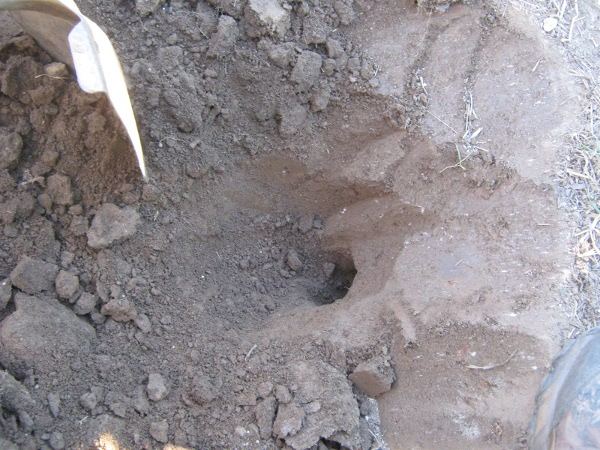 Gopherhole