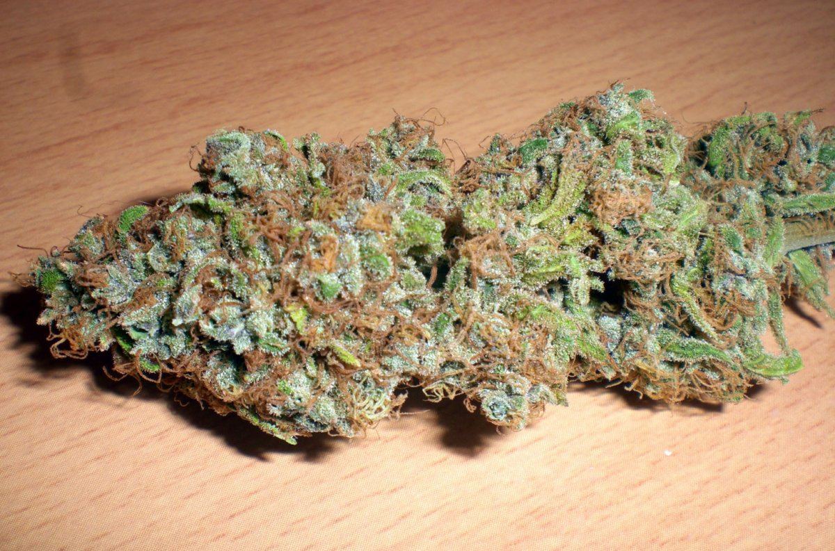 Gorilla grape dried budshot