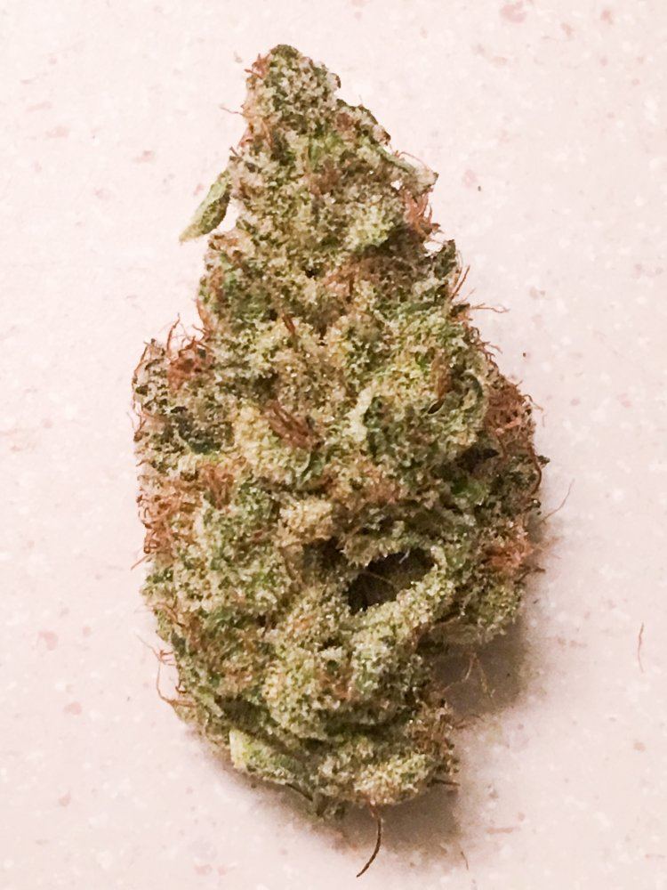 Gorilla sac punch 2