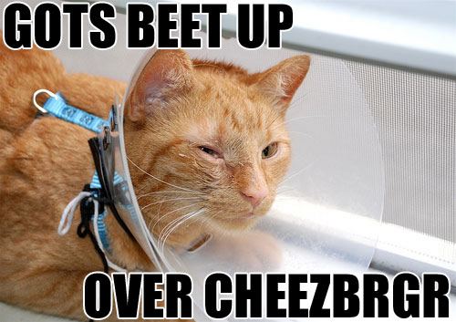 Got beat up