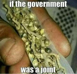 Government Joint