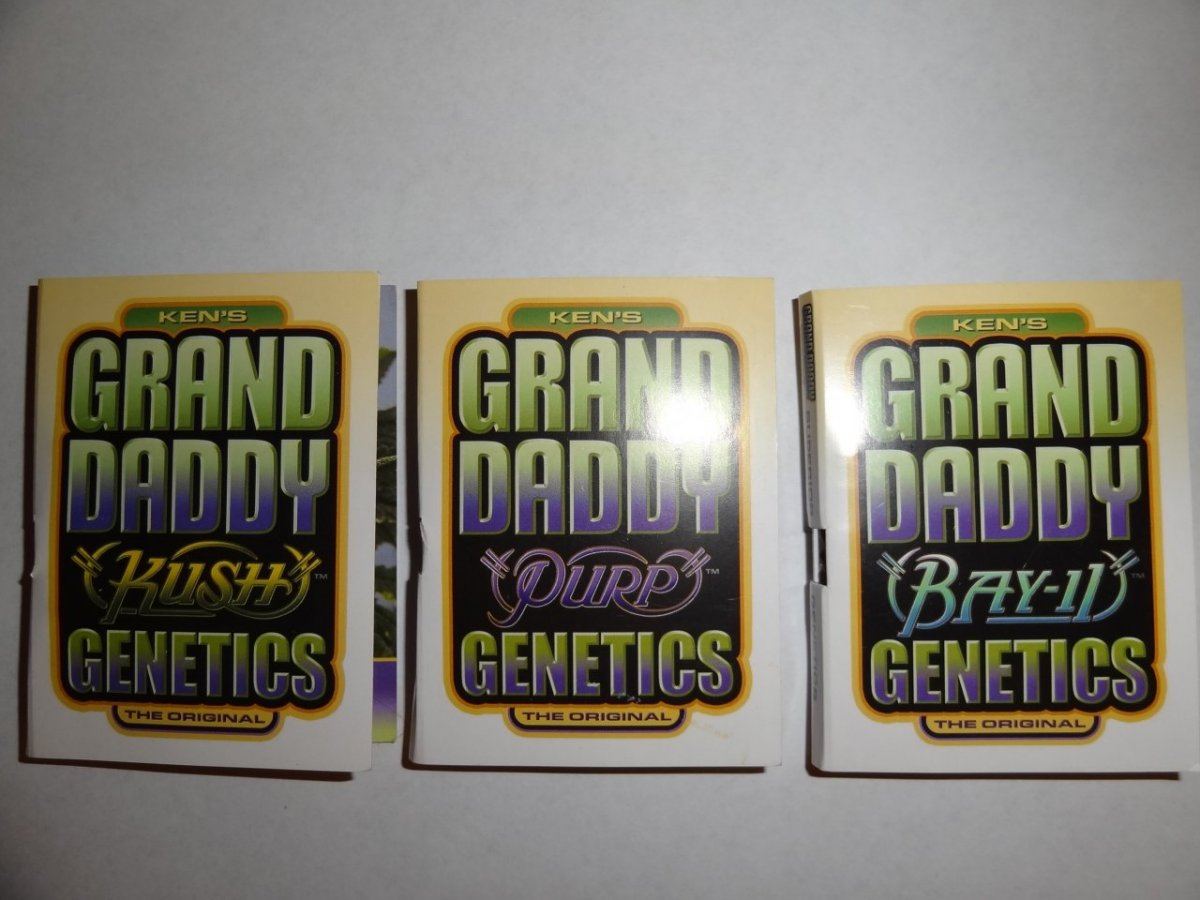GRANDADDY PURPS 003
