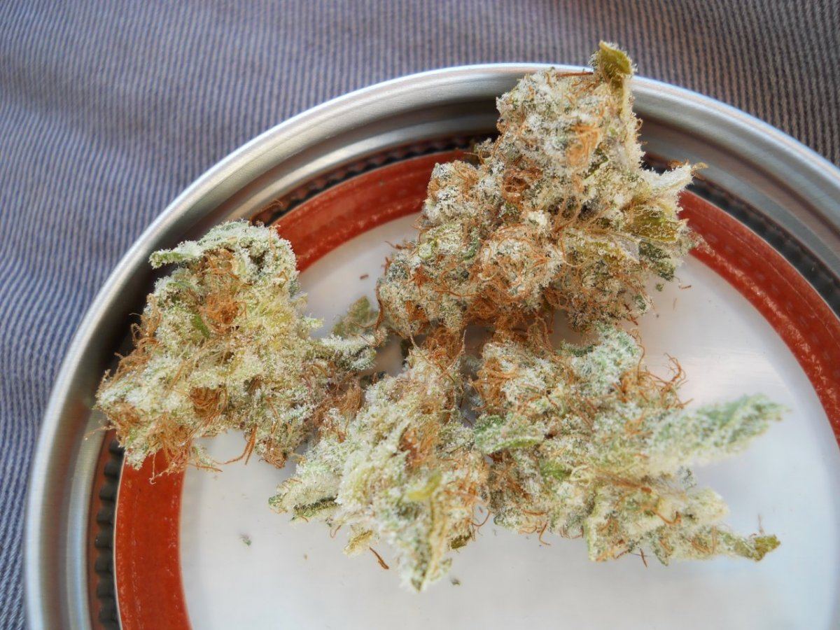 Granny apricot 3