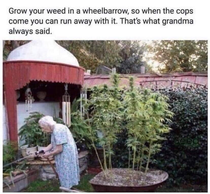 Granny