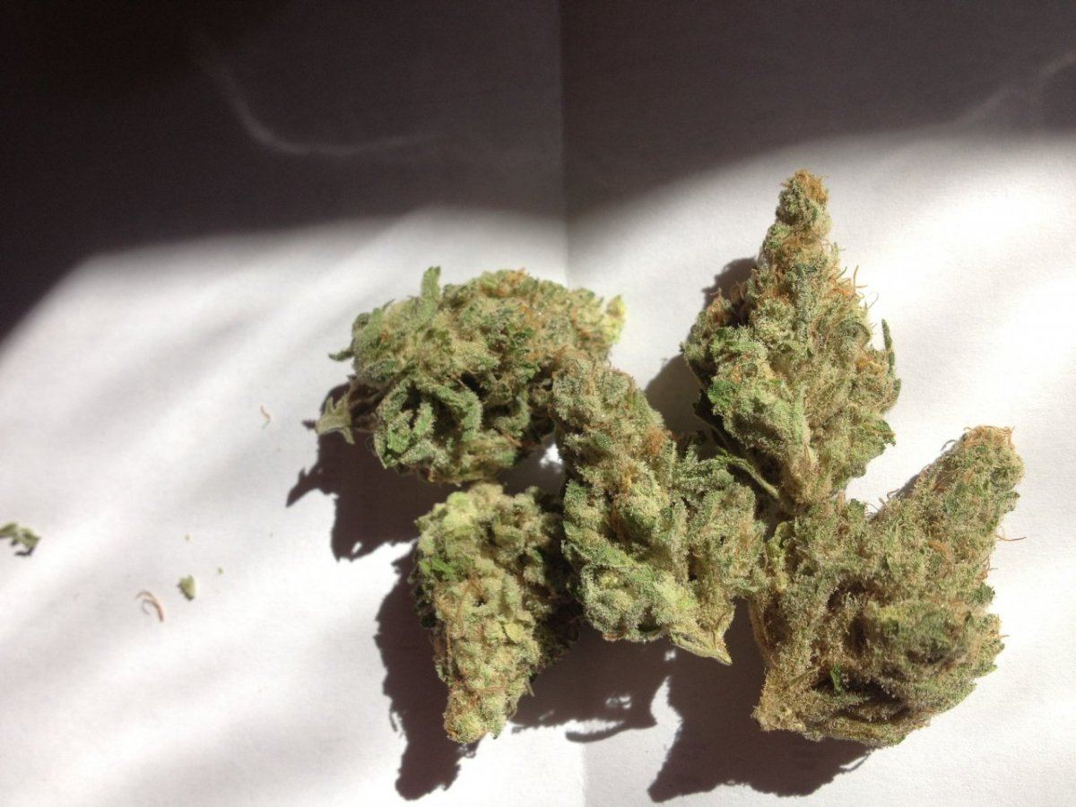 Grape God Bud 2