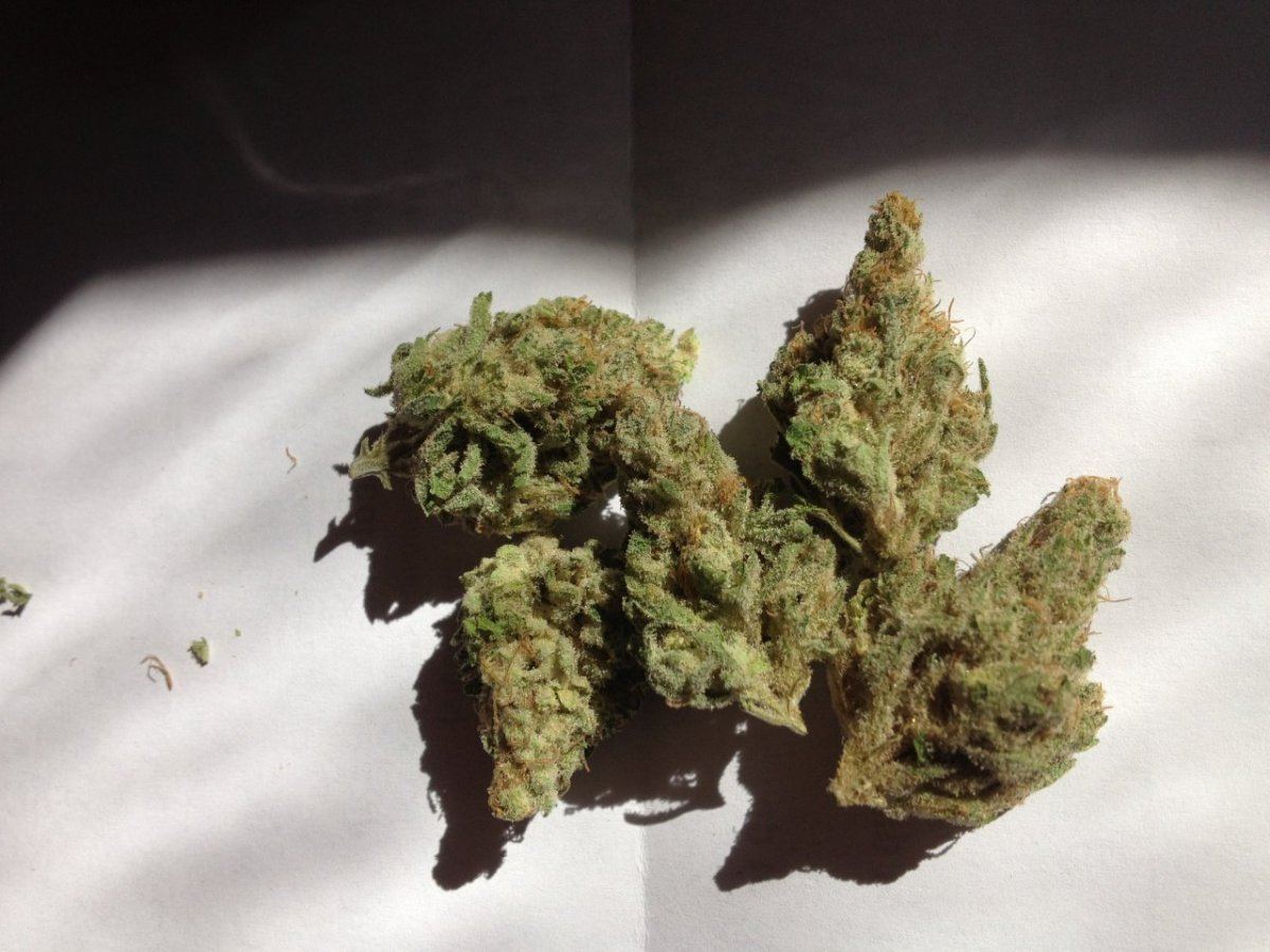 Grape God Bud