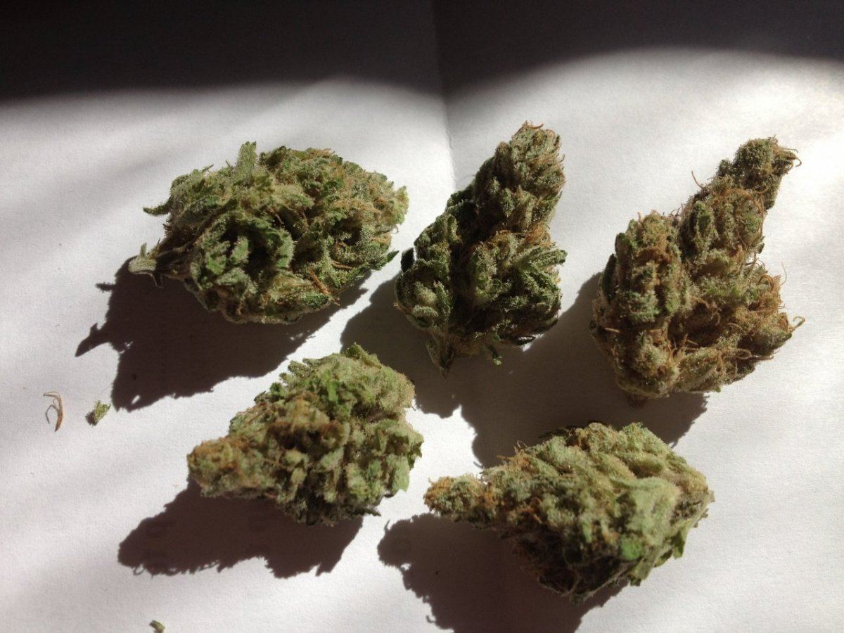Grape God