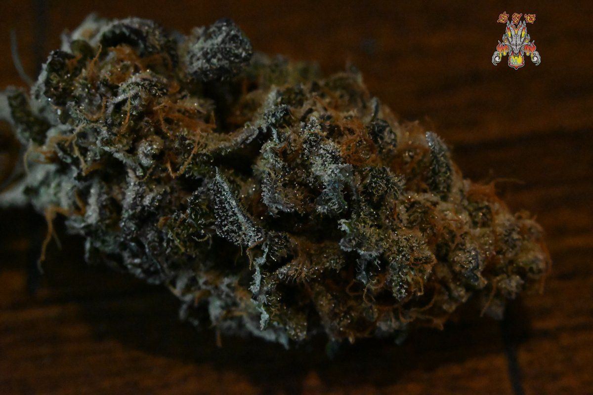 Grape pie 2
