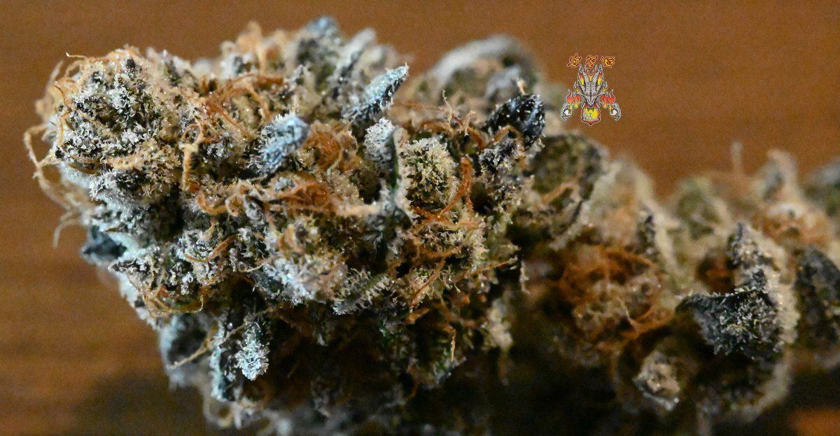 Grape pie 4
