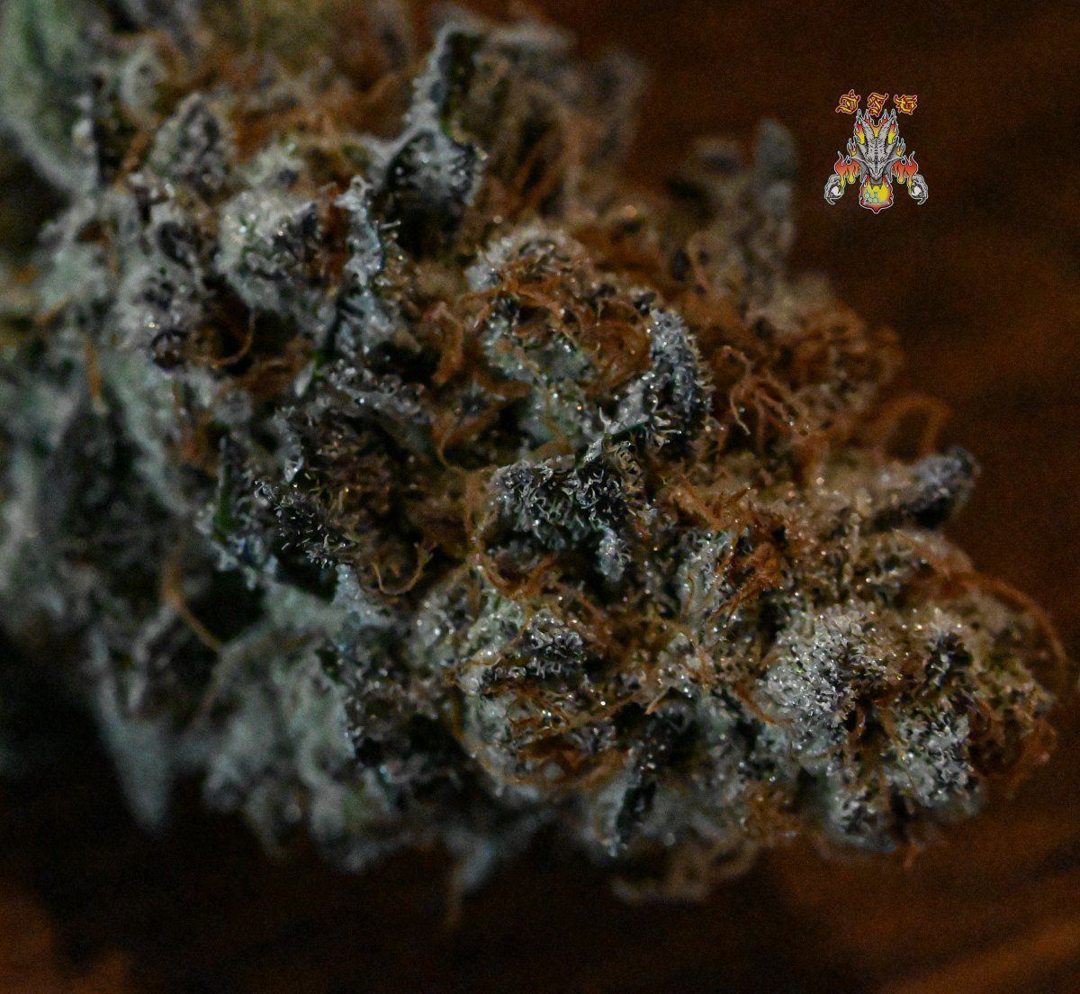 Grape pie