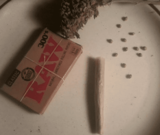 Grapealienhazefire81317