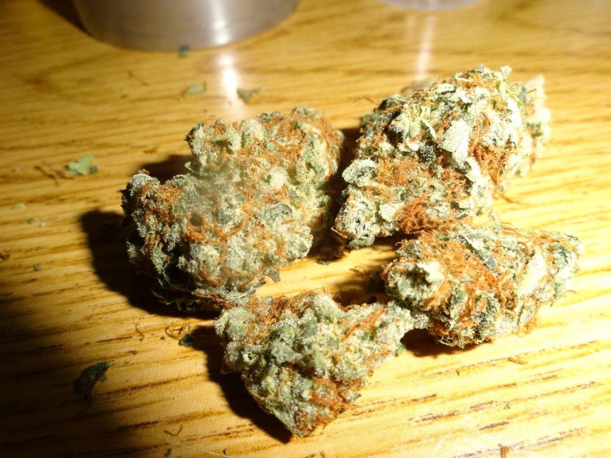 Grapefruits 038