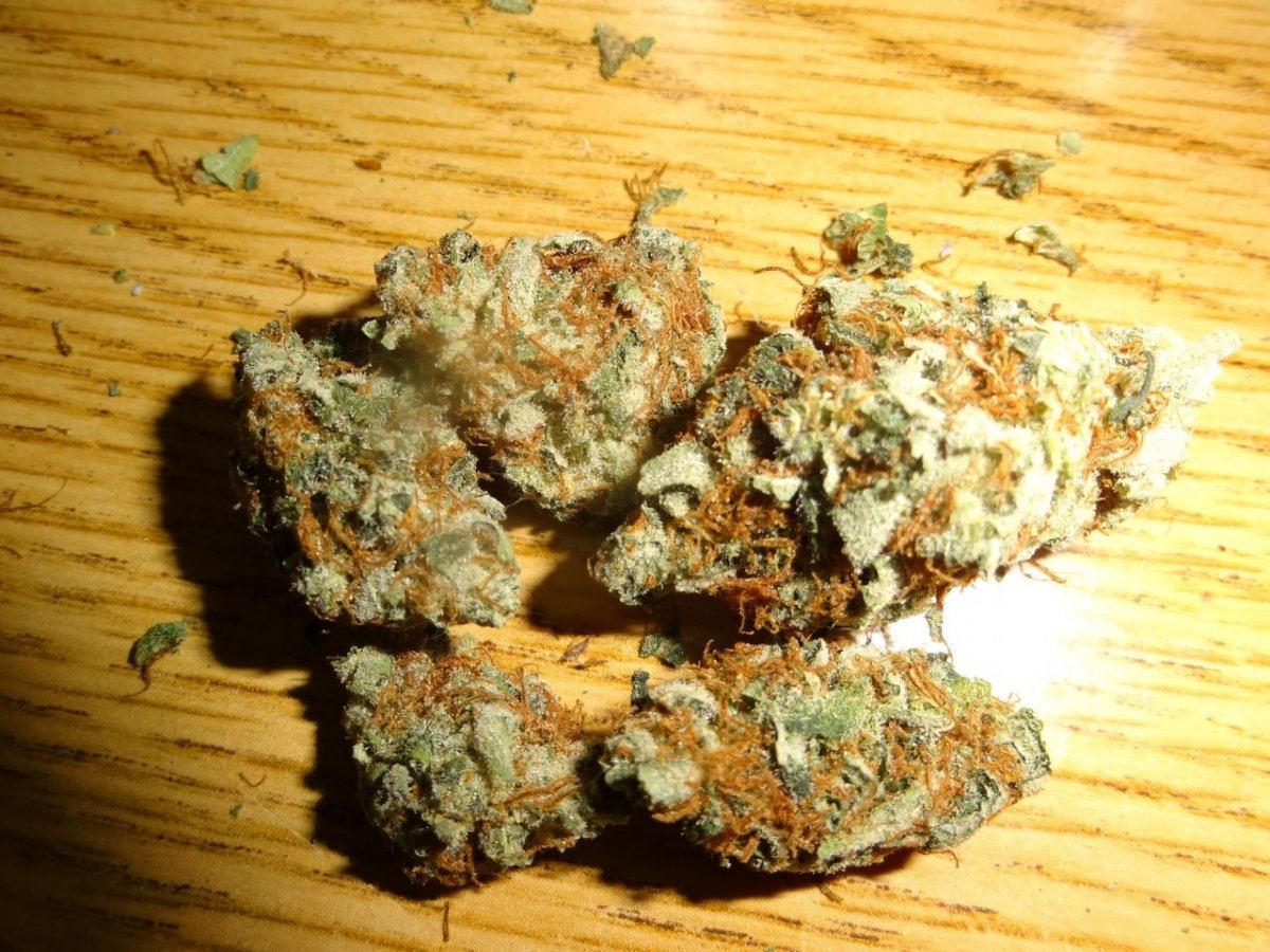 Grapefruits 039