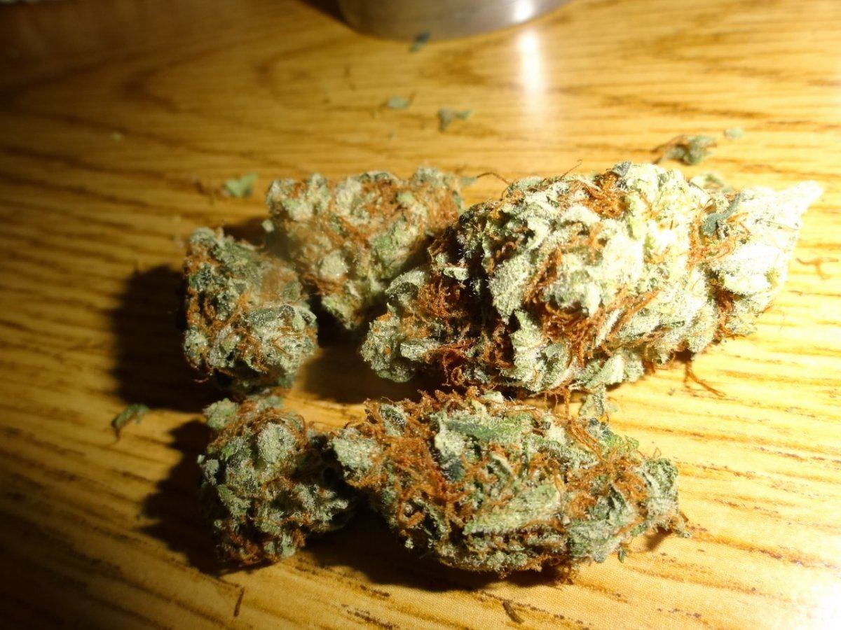 Grapefruits 041