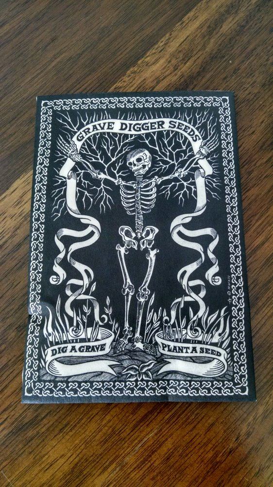 Grave digger seeds   wicked queen