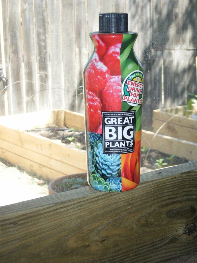 Great big plants product reviews