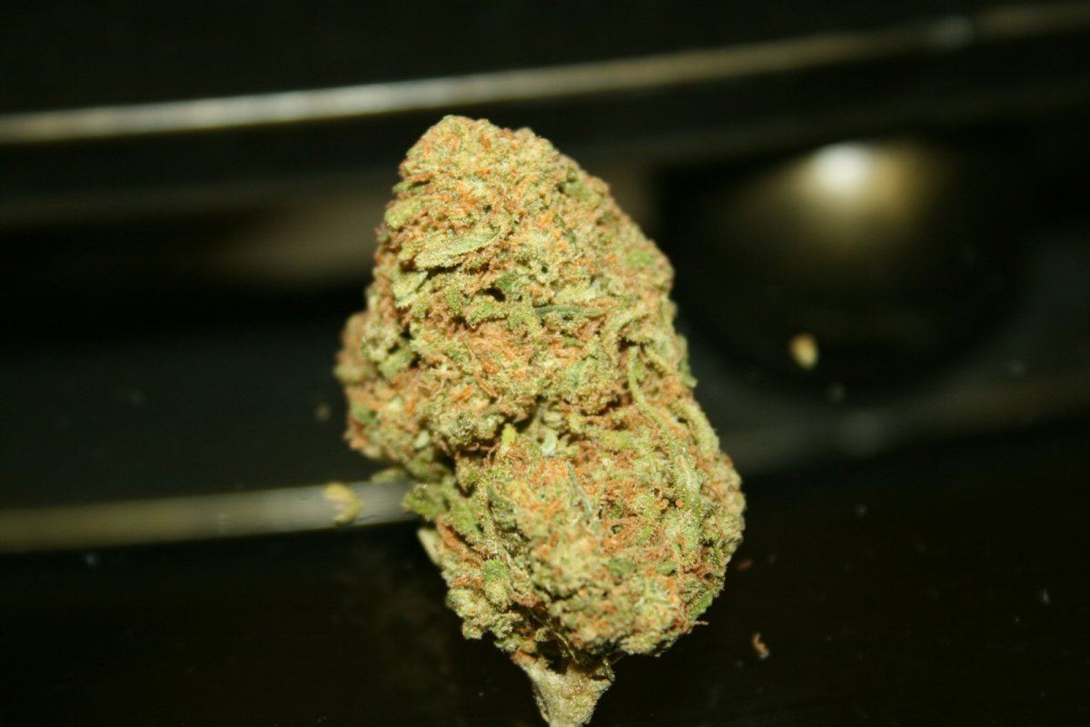 Green Crack