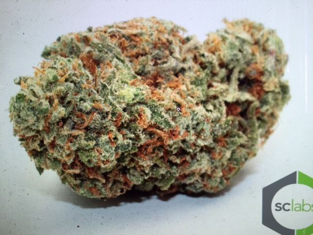 Green Crack