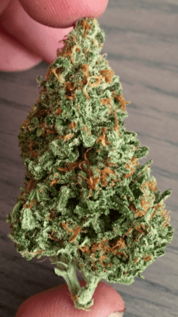 Green crack nug