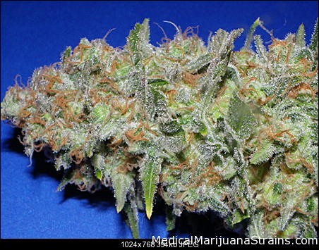 Green Poison
