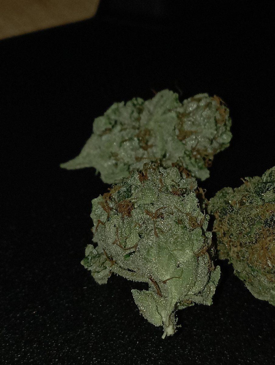 Greenchemx