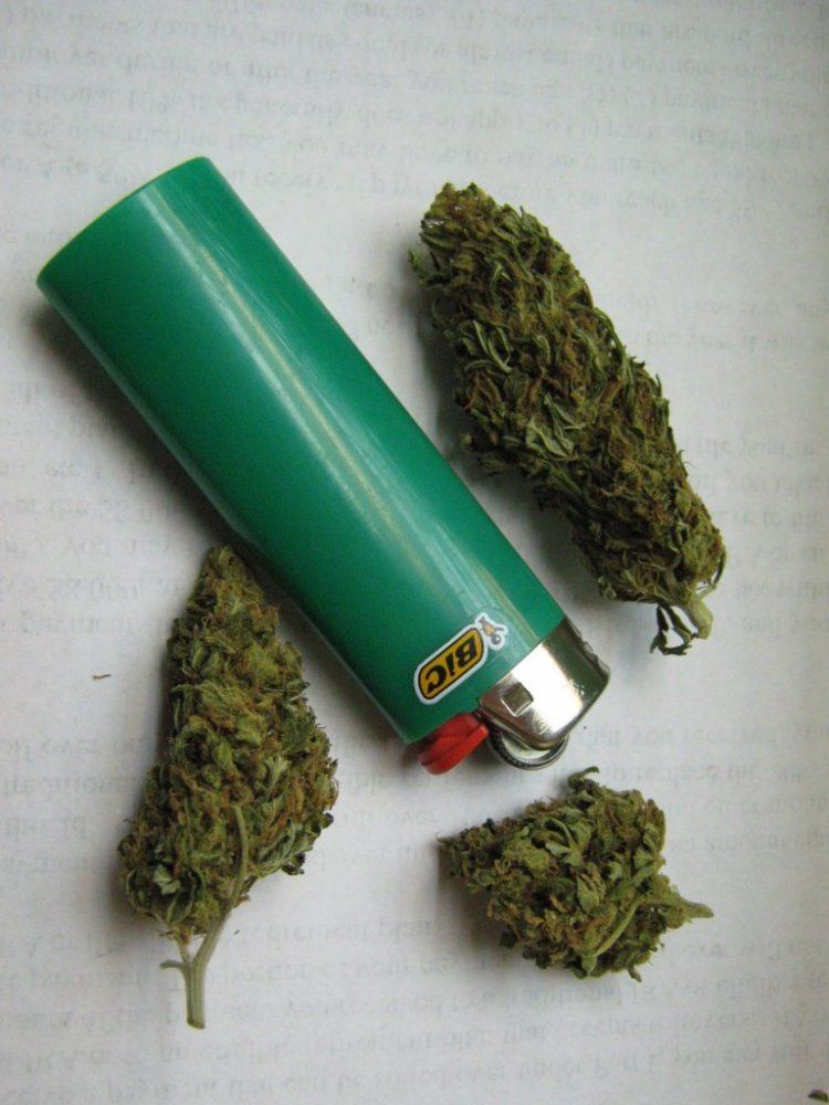 Greencrack