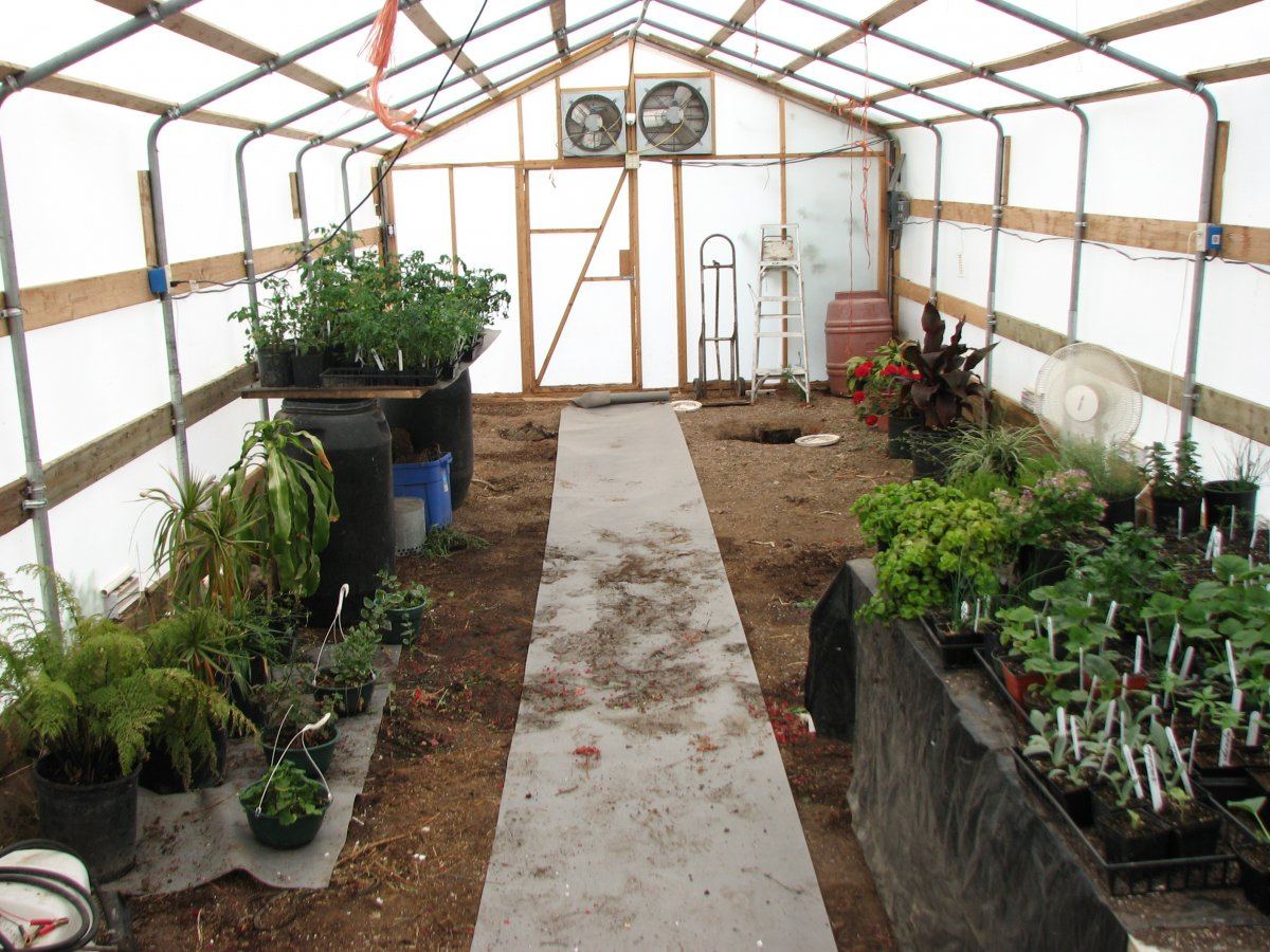 Greenhouse 001