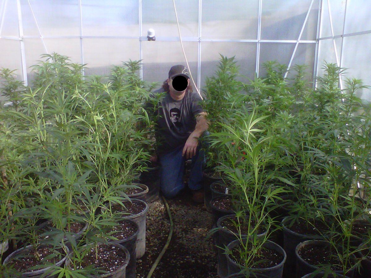Greenhouse 4 10 12
