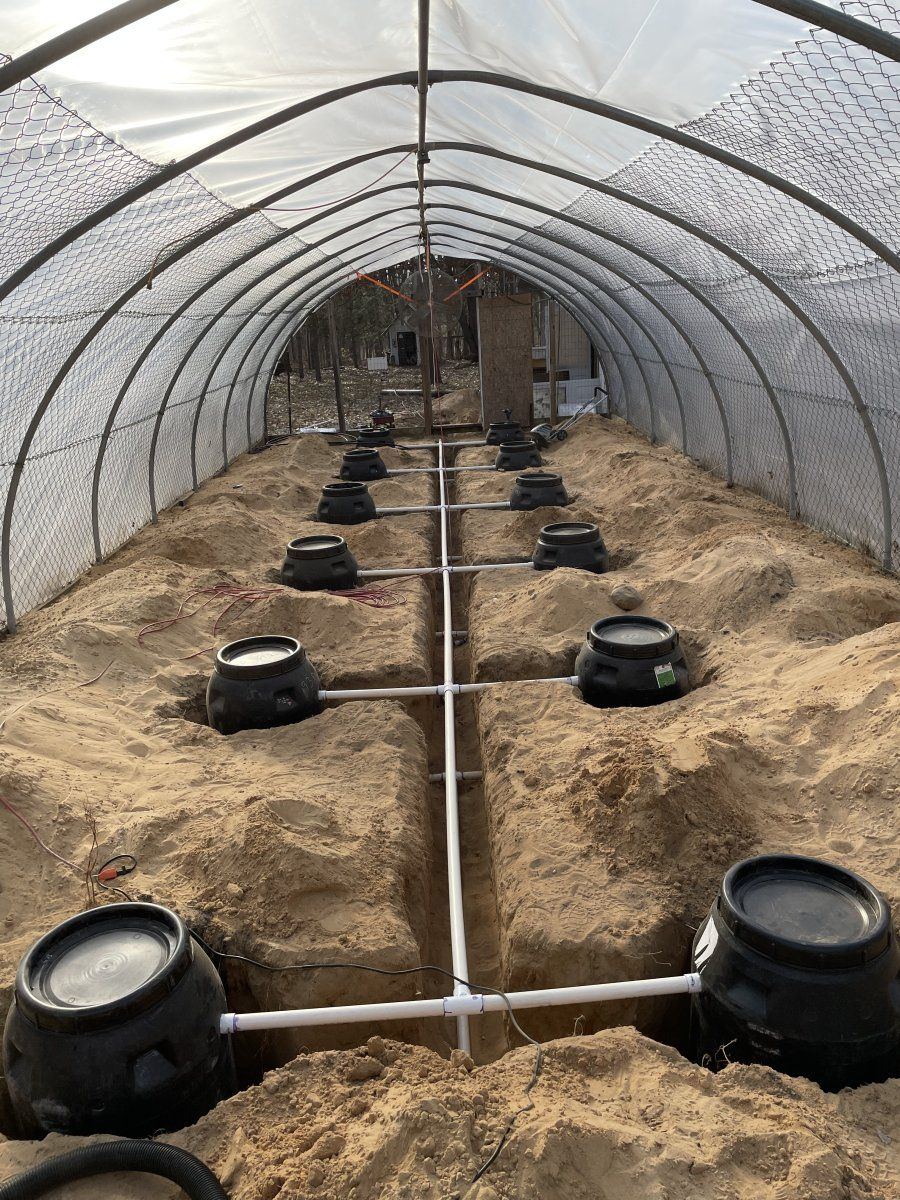 Greenhouse hydro grow first attempt 7
