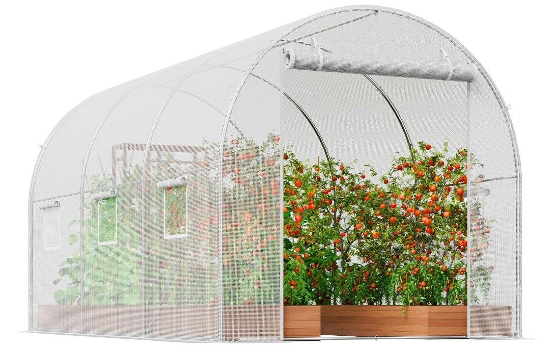 Greenhouse