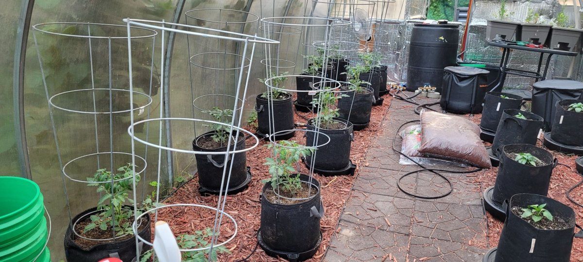 Greenhouse June 2025 B