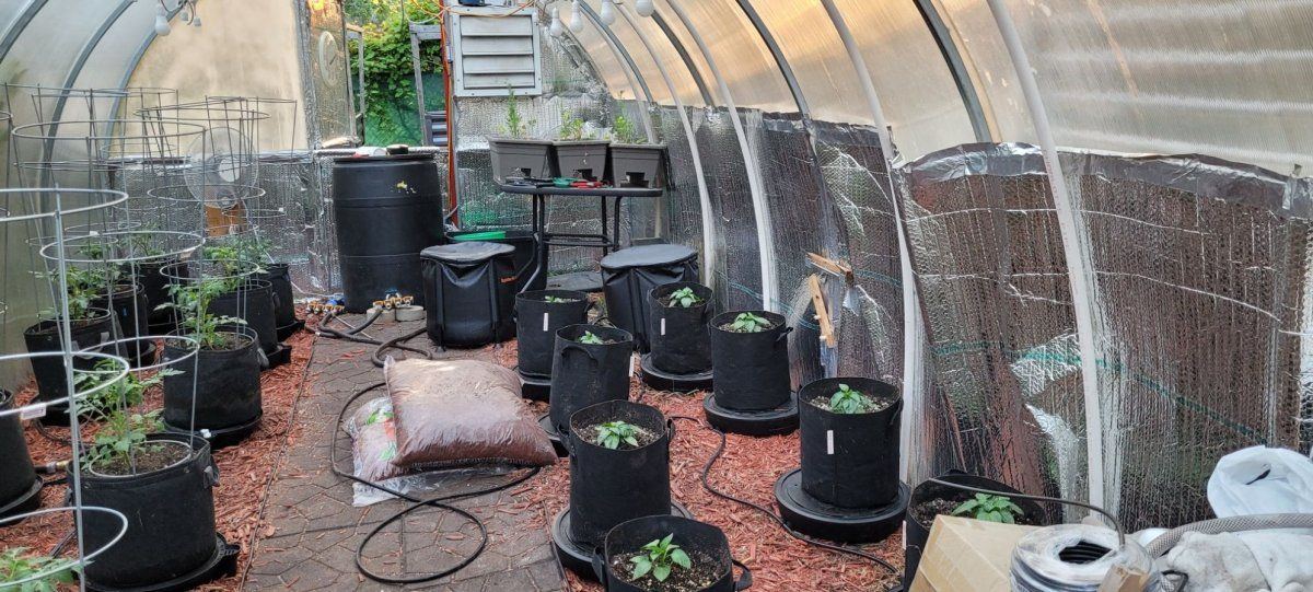 Greenhouse June 2025 C