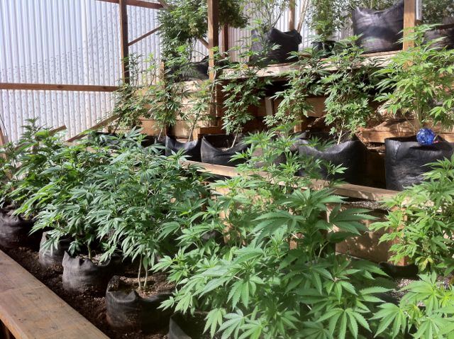 Greenhouse set up pics   03