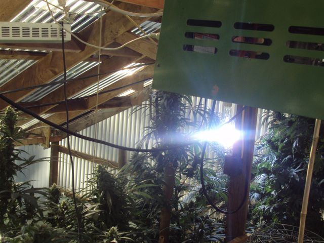 Greenhouse set up pics   17