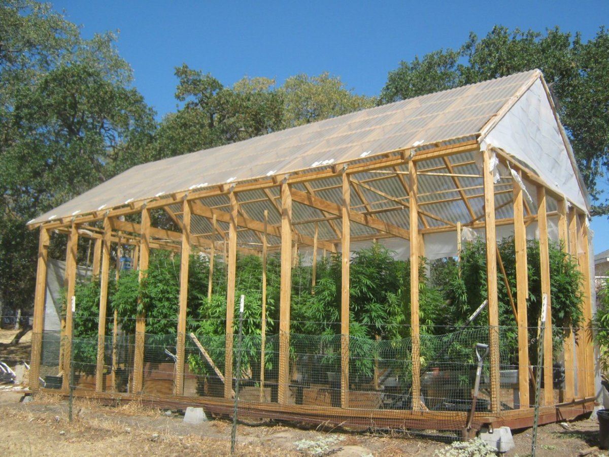 Greenhouse7713