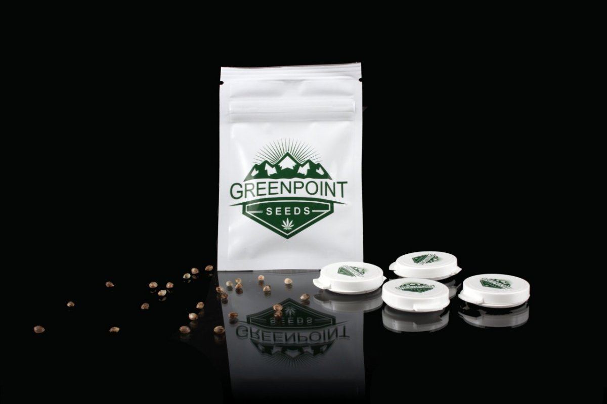 Greenpoint seeds   new packaging 2