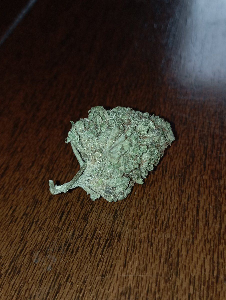 Greenstardawg