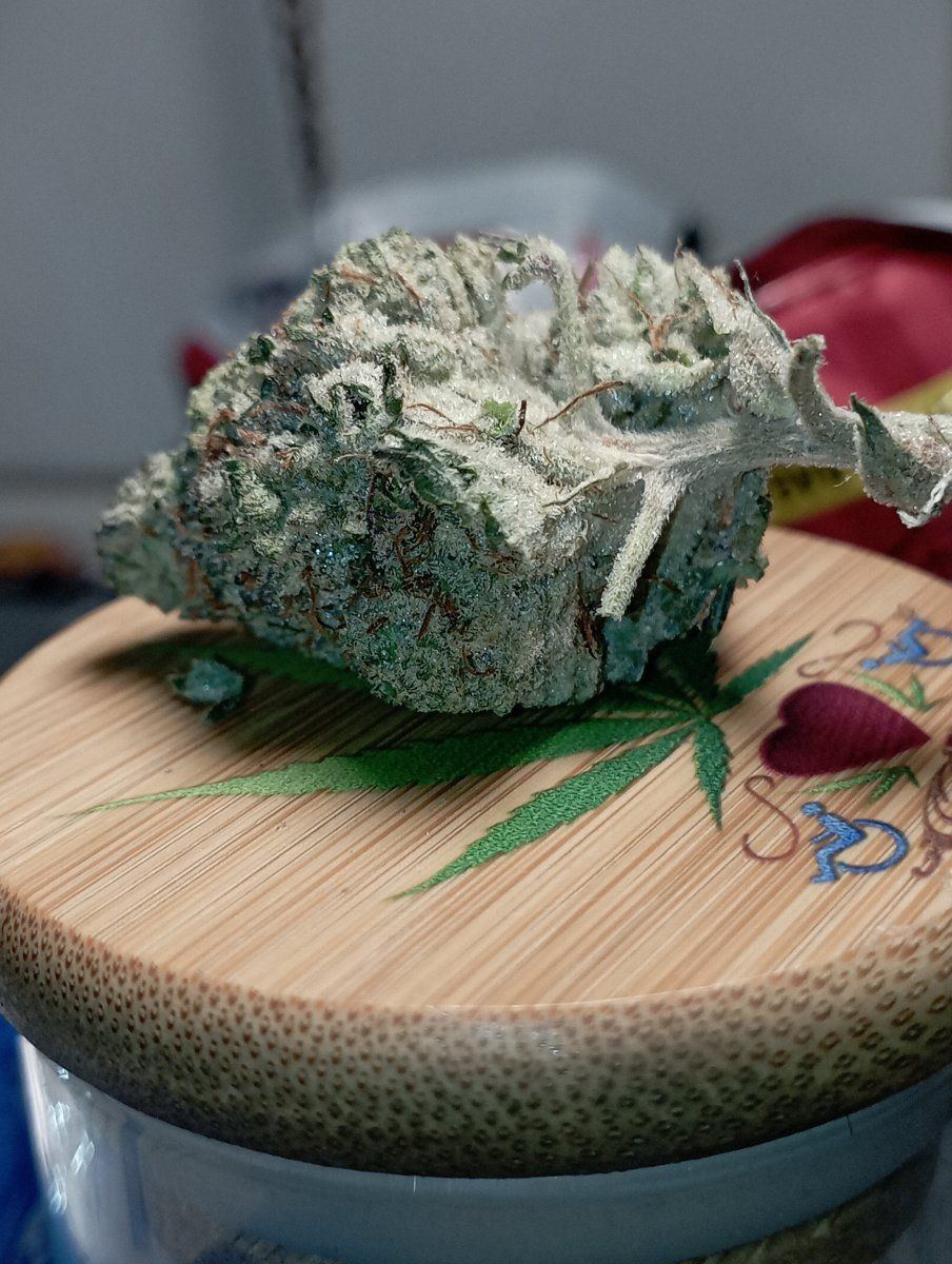 Greenstardawg