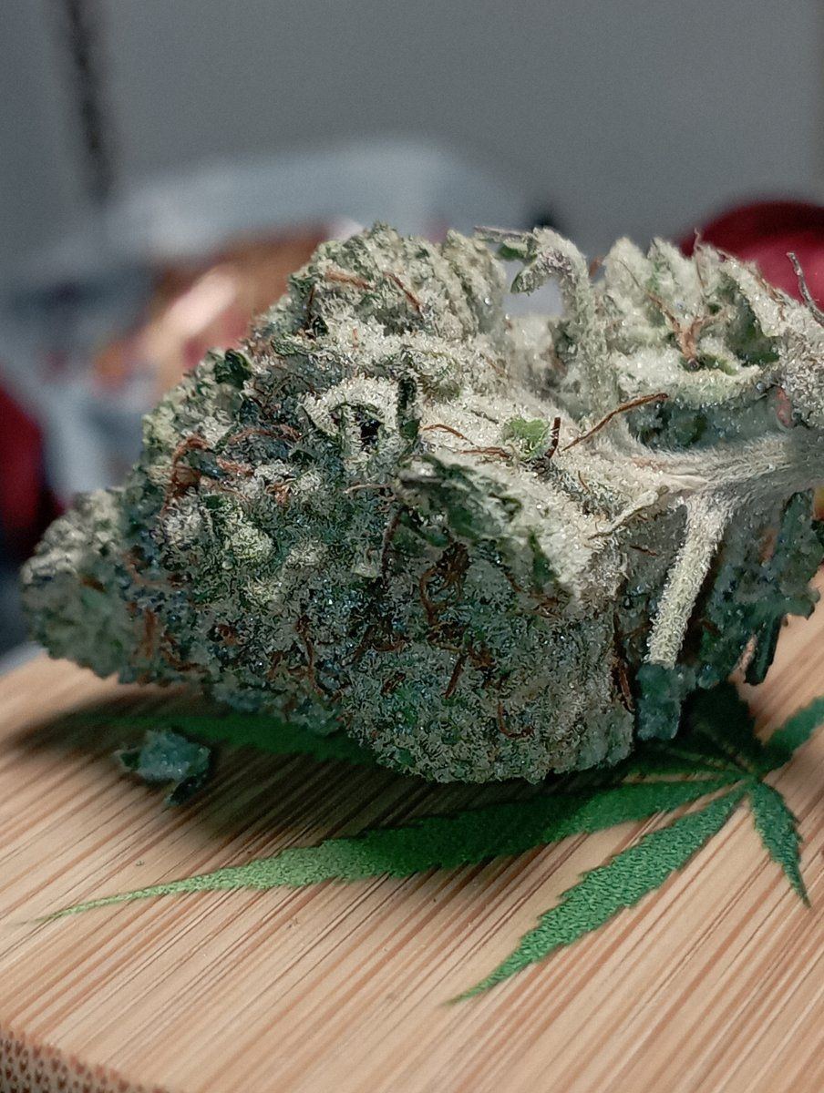 Greenstardawgz