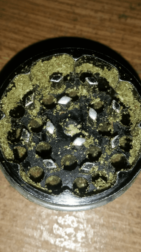 GrinderProbs