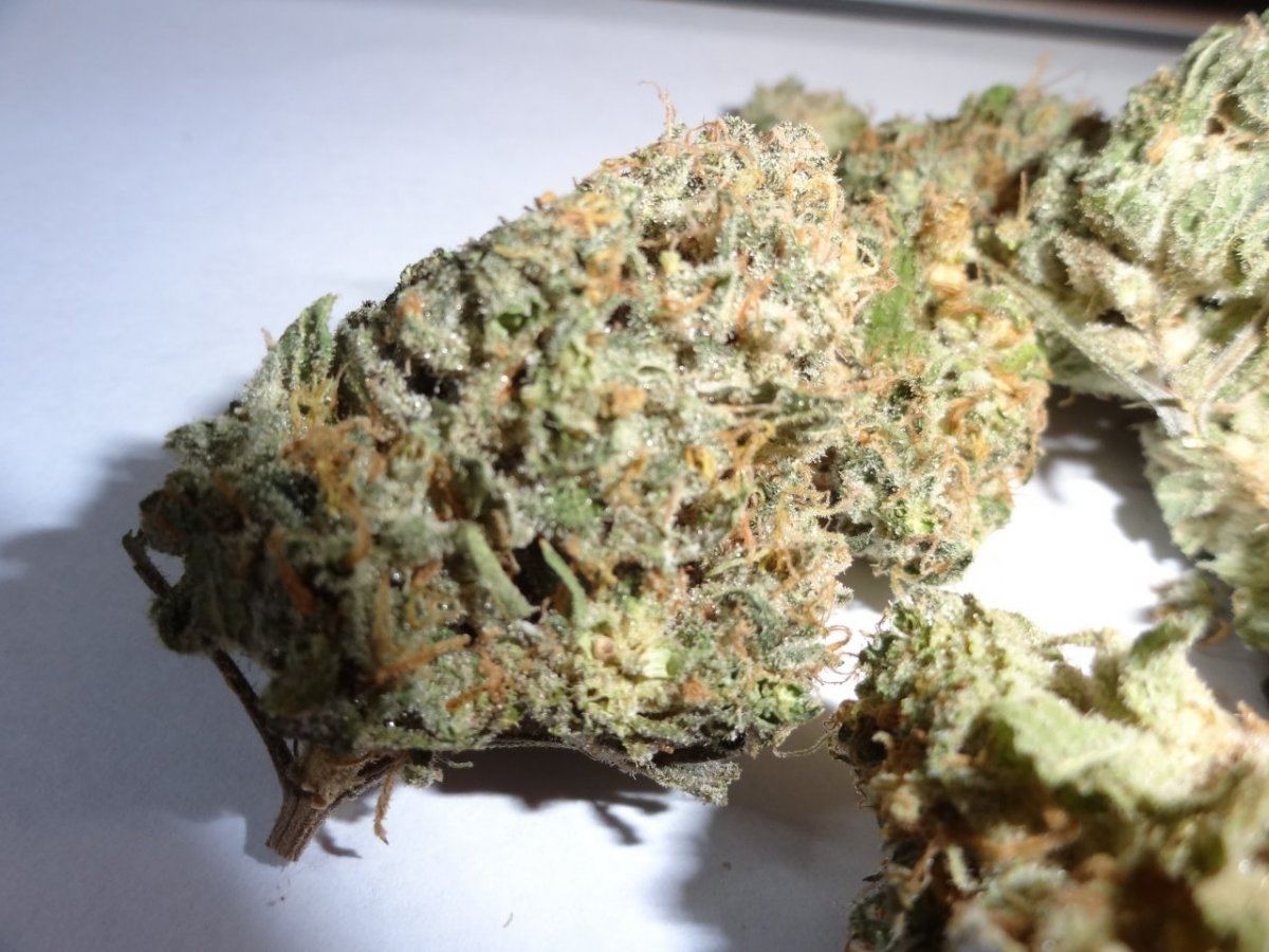 Grod good stuff 001