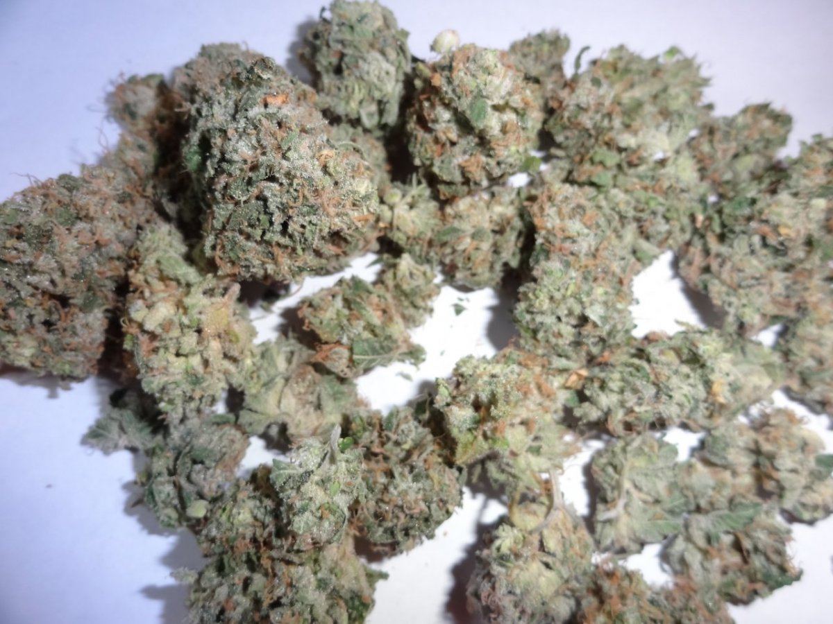Grod good stuff 005