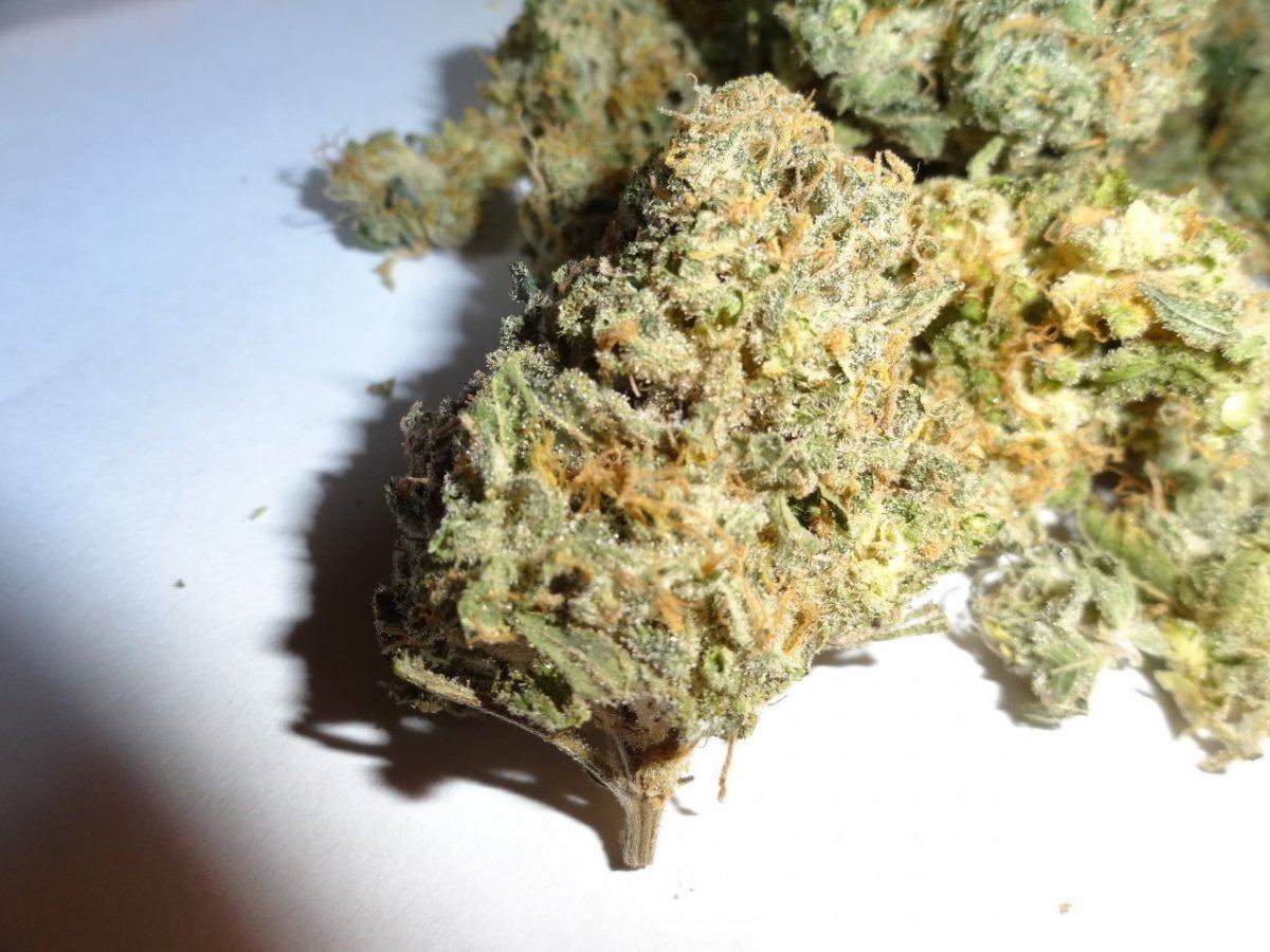 Grod good stuff 006