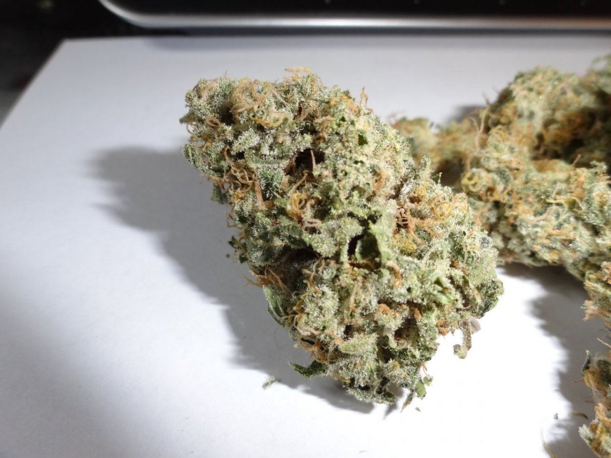 Grod good stuff 007
