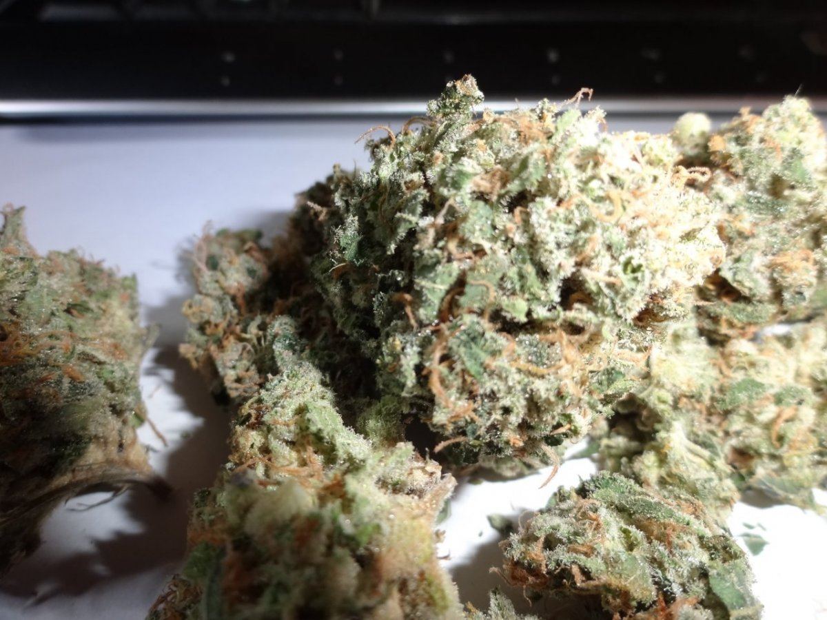 Grod good stuff 008