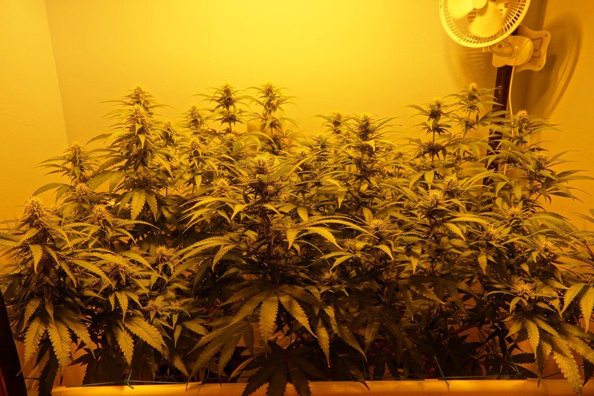 Group Shot F3b