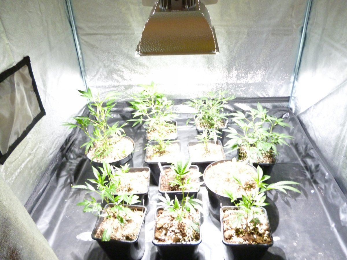 Group shot