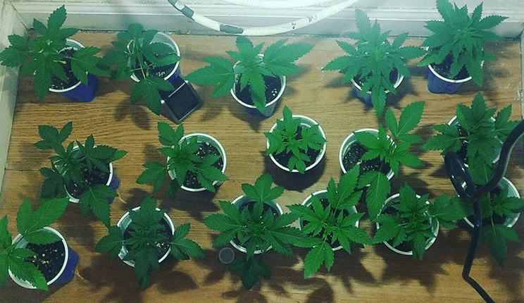 Group shot
