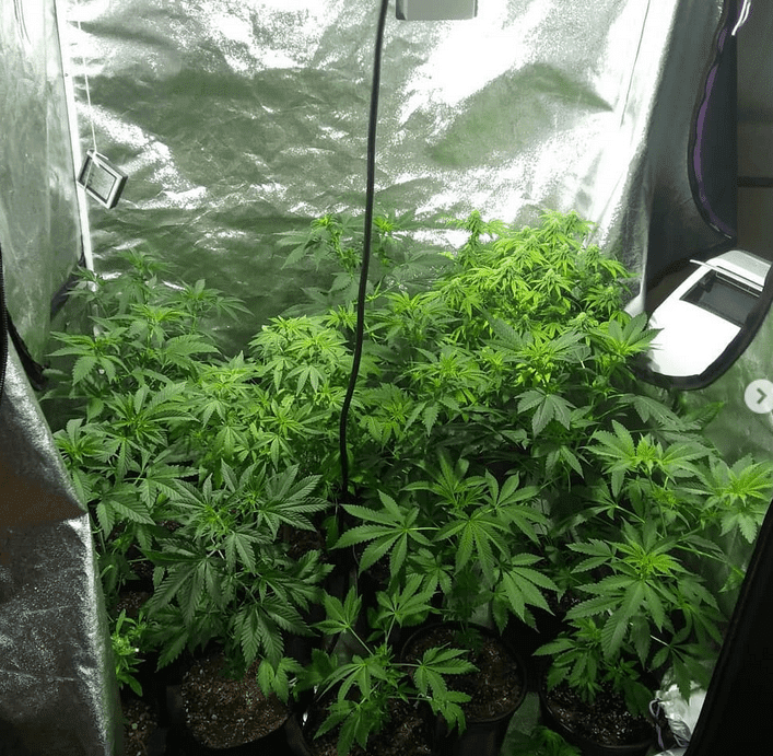 Group shot